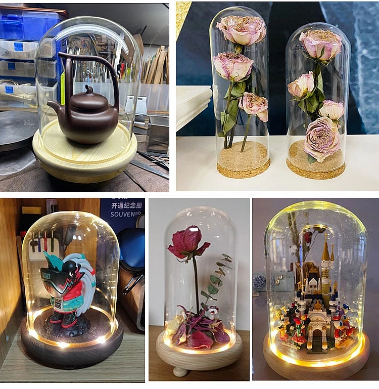 Clear Glass Display Glass Flower Display Cloche Bell Jar Bottle with Wooden Base Dust Cover Display Box Immortal Flower Box