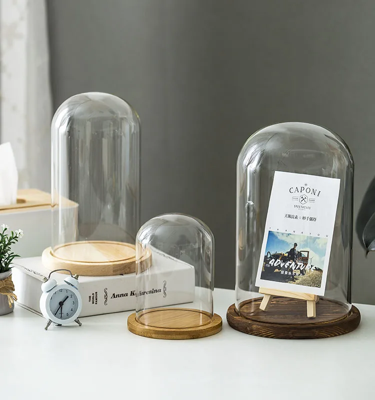 Clear Glass Display Glass Flower Display Cloche Bell Jar Bottle with Wooden Base Dust Cover Display Box Immortal Flower Box