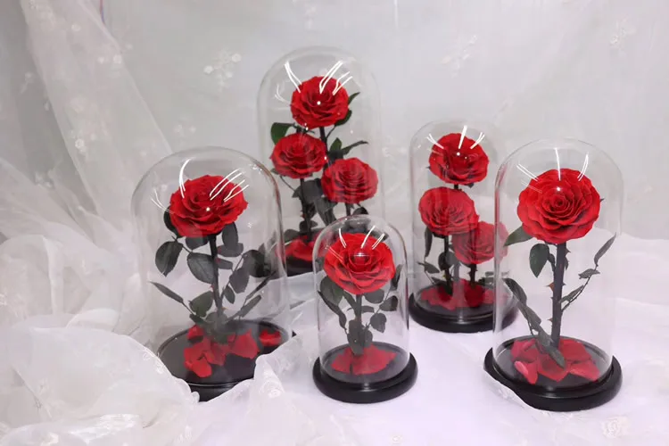 Clear Glass Display Glass Flower Display Cloche Bell Jar Bottle with Wooden Base Dust Cover Display Box Immortal Flower Box Clear Glass Display Glass Flower Display Cloche Bell Jar Bottle with Wooden Base Dust Cover Display Box Immortal Flower Box