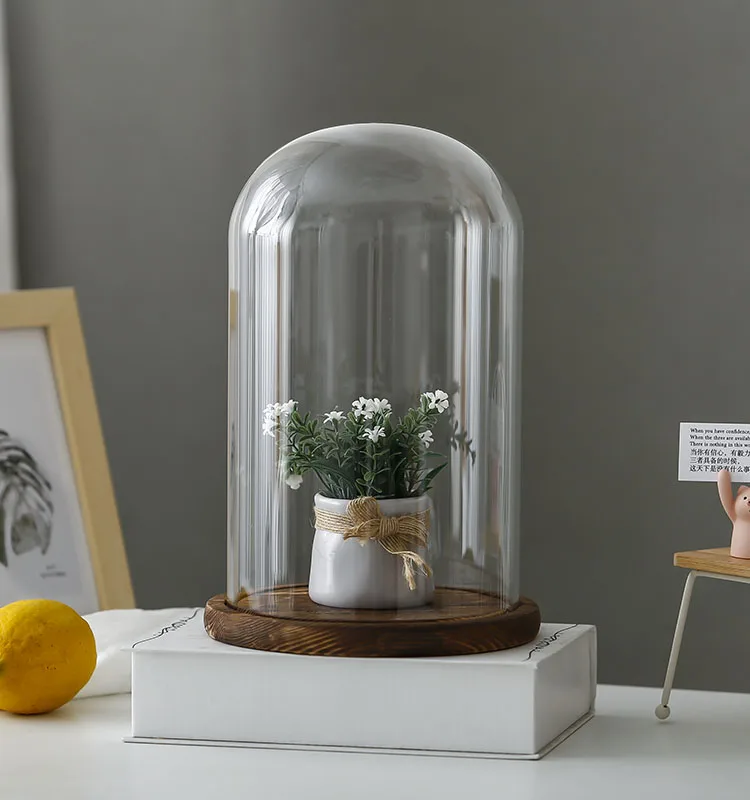 Clear Glass Display Glass Flower Display Cloche Bell Jar Bottle with Wooden Base Dust Cover Display Box Immortal Flower Box