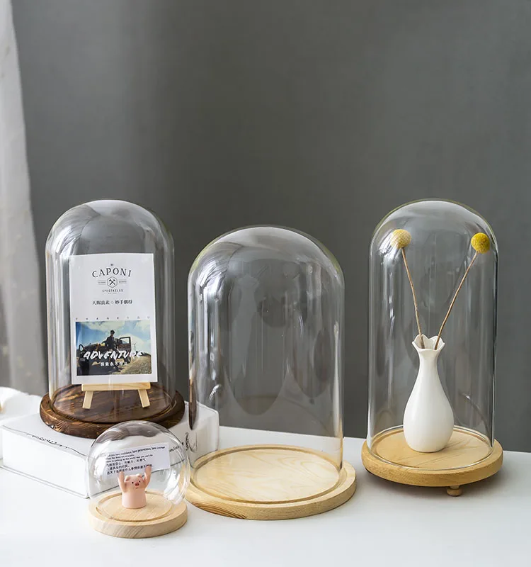 Clear Glass Display Glass Flower Display Cloche Bell Jar Bottle with Wooden Base Dust Cover Display Box Immortal Flower Box