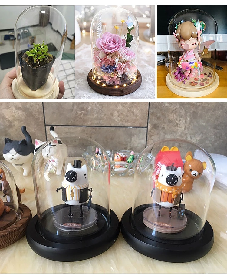 Clear Glass Display Glass Flower Display Cloche Bell Jar Bottle with Wooden Base Dust Cover Display Box Immortal Flower Box Clear Glass Display Glass Flower Display Cloche Bell Jar Bottle with Wooden Base Dust Cover Display Box Immortal Flower Box