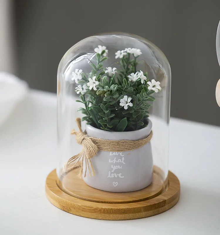 Clear Glass Display Glass Flower Display Cloche Bell Jar Bottle with Wooden Base Dust Cover Display Box Immortal Flower Box Clear Glass Display Glass Flower Display Cloche Bell Jar Bottle with Wooden Base Dust Cover Display Box Immortal Flower Box