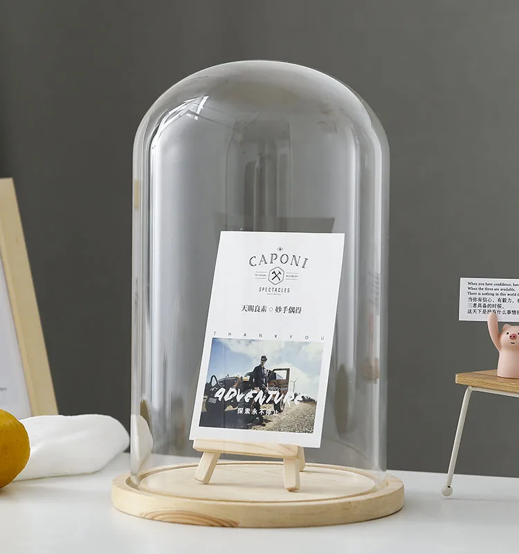 Clear Glass Display Glass Flower Display Cloche Bell Jar Bottle with Wooden Base Dust Cover Display Box Immortal Flower Box