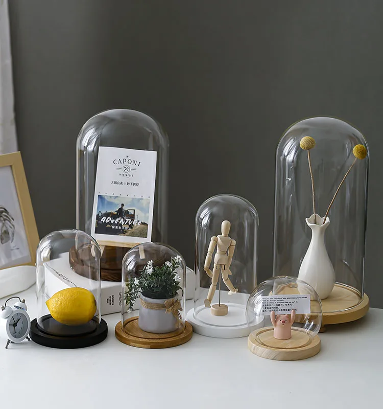 Clear Glass Display Glass Flower Display Cloche Bell Jar Bottle with Wooden Base Dust Cover Display Box Immortal Flower Box