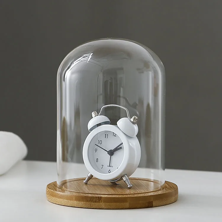 Clear Glass Display Glass Flower Display Cloche Bell Jar Bottle with Wooden Base Dust Cover Display Box Immortal Flower Box