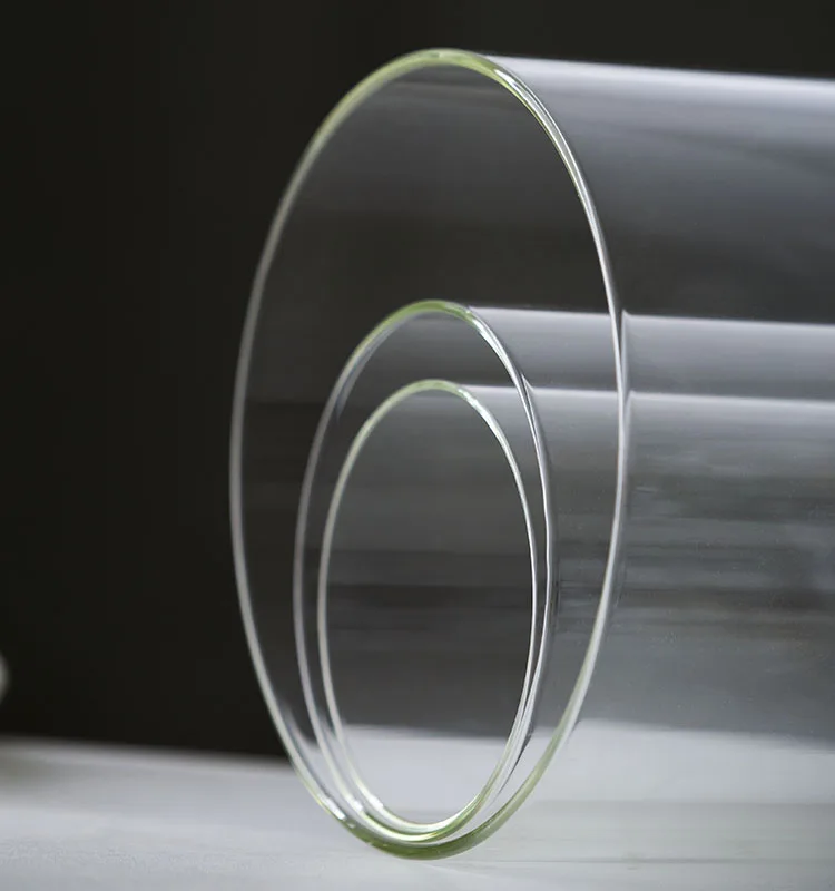 Clear Glass Display Glass Flower Display Cloche Bell Jar Bottle with Wooden Base Dust Cover Display Box Immortal Flower Box