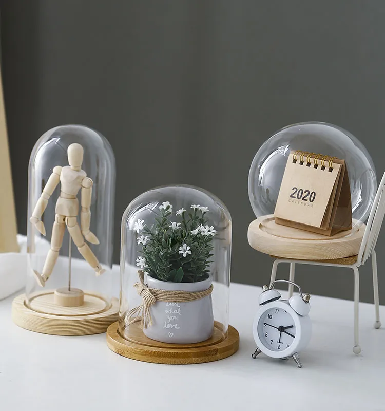 Clear Glass Display Glass Flower Display Cloche Bell Jar Bottle with Wooden Base Dust Cover Display Box Immortal Flower Box