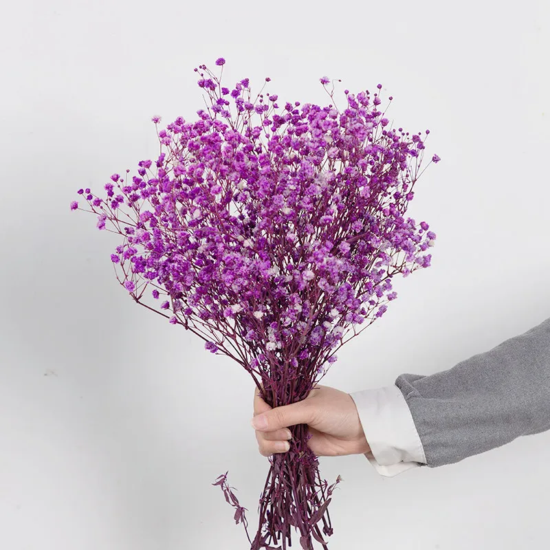 Natural Fresh Dried Preserved Flowers Gypsophila Paniculata  Eternal   Breath Bouquets Valentine's Day Gift Wedding Home Decor