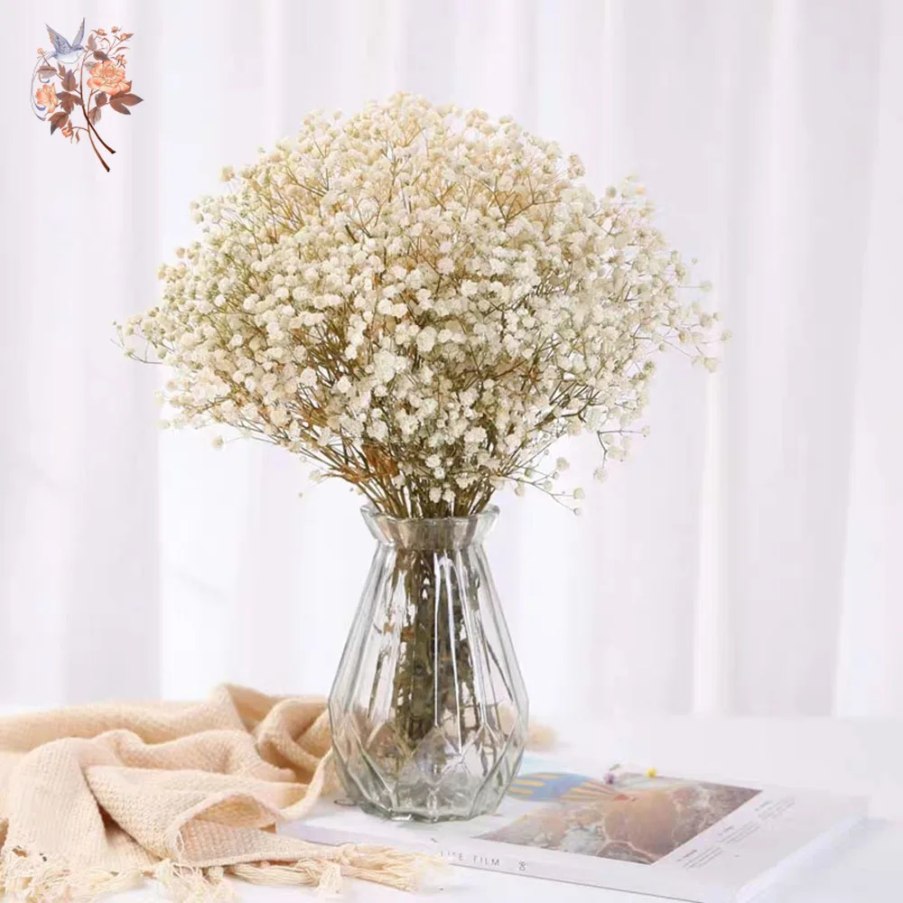 60g Dried Baby Breath Flower Bouquet Natural Dry Flowers Gypsophila Valentines Day Wedding Decoration Home Table Christmas Decor