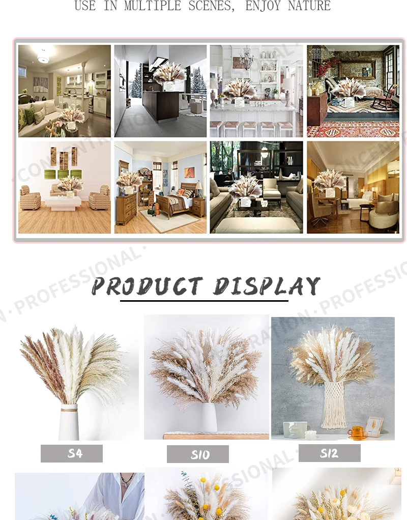 Real Natural Dried Flower Bouquet Pampas Reed Small Reed Rabbit Tail Grass Home Decor Mix and Match Dried Flower Bouquet Real Natural Dried Flower Bouquet Pampas Reed Small Reed Rabbit Tail Grass Home Decor Mix and Match Dried Flower Bouquet