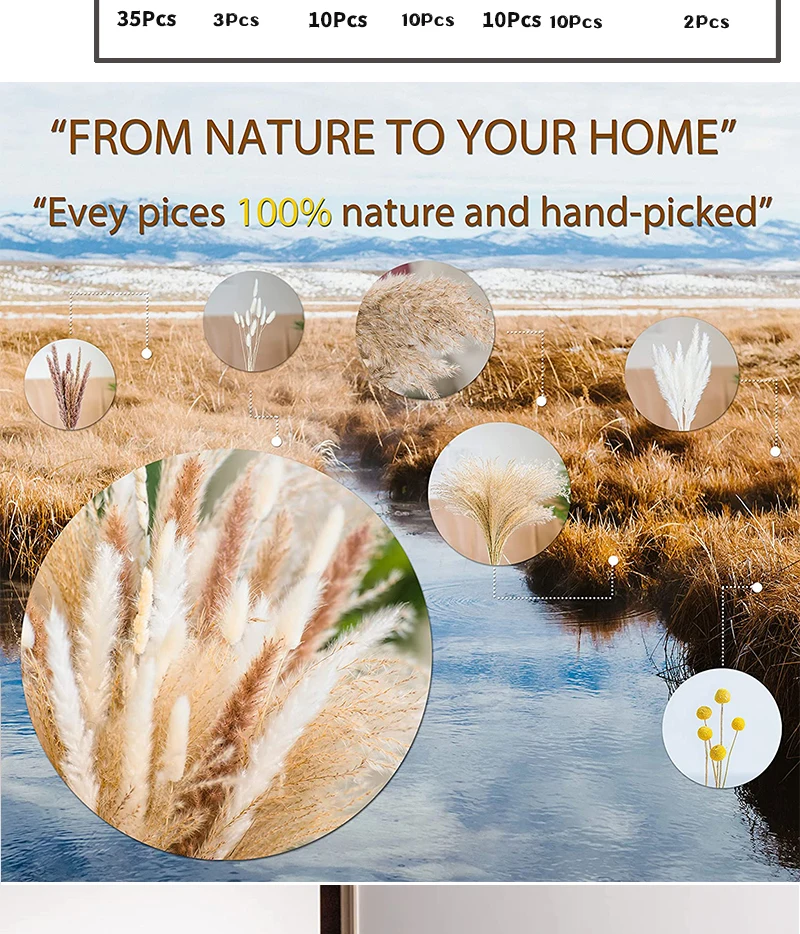 Real Natural Dried Flower Bouquet Pampas Reed Small Reed Rabbit Tail Grass Home Decor Mix and Match Dried Flower Bouquet Real Natural Dried Flower Bouquet Pampas Reed Small Reed Rabbit Tail Grass Home Decor Mix and Match Dried Flower Bouquet