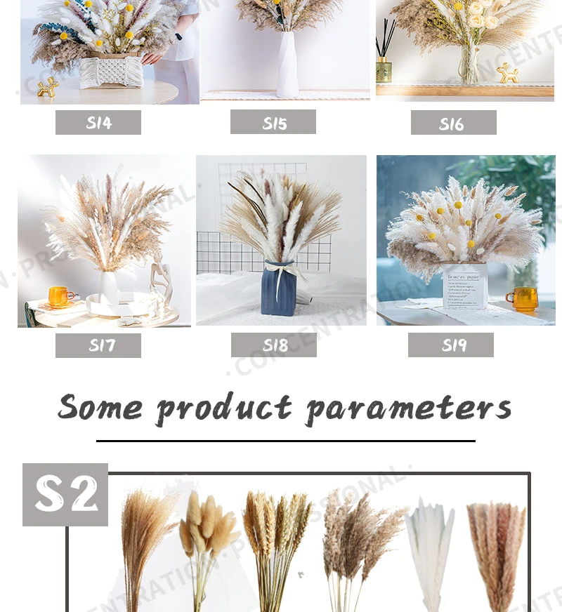 Real Natural Dried Flower Bouquet Pampas Reed Small Reed Rabbit Tail Grass Home Decor Mix and Match Dried Flower Bouquet Real Natural Dried Flower Bouquet Pampas Reed Small Reed Rabbit Tail Grass Home Decor Mix and Match Dried Flower Bouquet