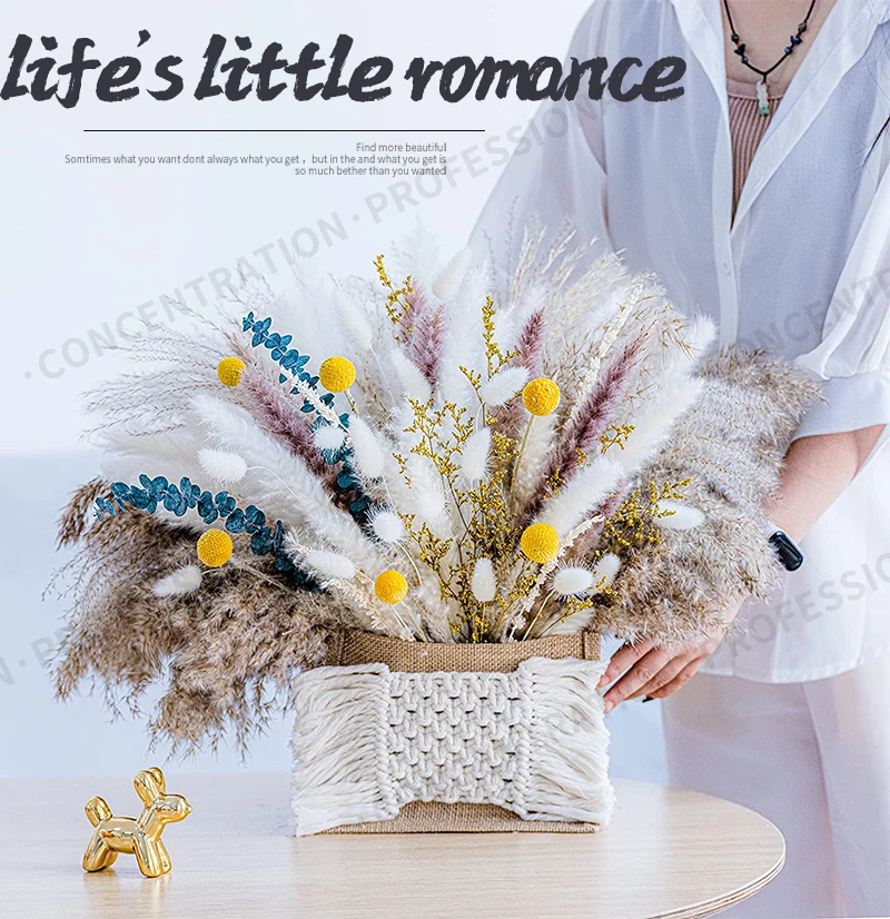 Real Natural Dried Flower Bouquet Pampas Reed Small Reed Rabbit Tail Grass Home Decor Mix and Match Dried Flower Bouquet Real Natural Dried Flower Bouquet Pampas Reed Small Reed Rabbit Tail Grass Home Decor Mix and Match Dried Flower Bouquet