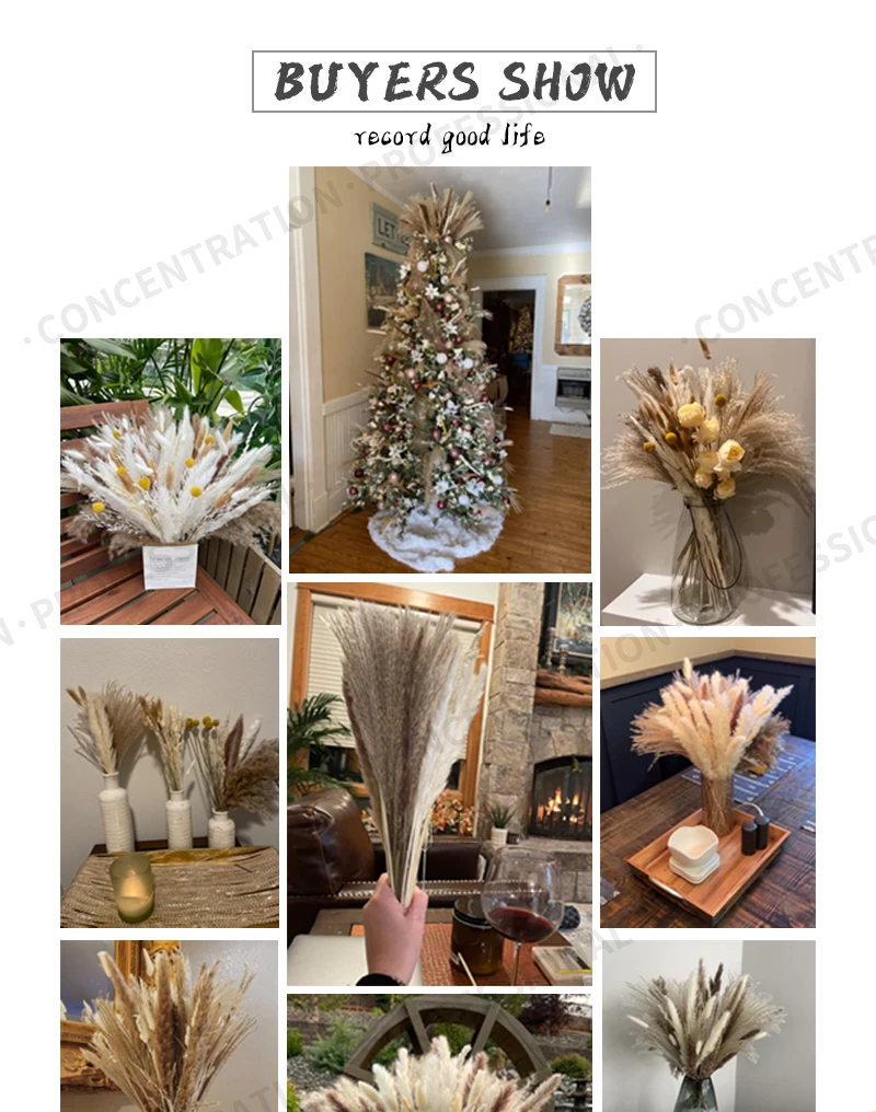 Real Natural Dried Flower Bouquet Pampas Reed Small Reed Rabbit Tail Grass Home Decor Mix and Match Dried Flower Bouquet Real Natural Dried Flower Bouquet Pampas Reed Small Reed Rabbit Tail Grass Home Decor Mix and Match Dried Flower Bouquet