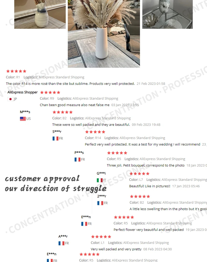 Real Natural Dried Flower Bouquet Pampas Reed Small Reed Rabbit Tail Grass Home Decor Mix and Match Dried Flower Bouquet Real Natural Dried Flower Bouquet Pampas Reed Small Reed Rabbit Tail Grass Home Decor Mix and Match Dried Flower Bouquet