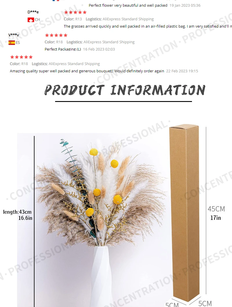 Real Natural Dried Flower Bouquet Pampas Reed Small Reed Rabbit Tail Grass Home Decor Mix and Match Dried Flower Bouquet Real Natural Dried Flower Bouquet Pampas Reed Small Reed Rabbit Tail Grass Home Decor Mix and Match Dried Flower Bouquet