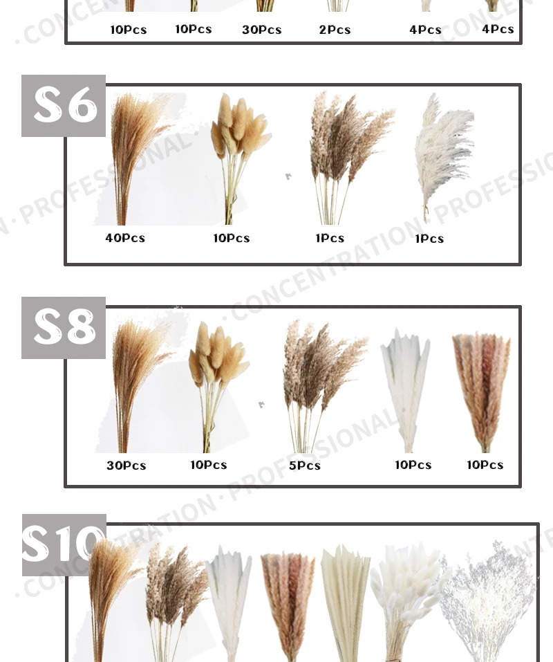 Real Natural Dried Flower Bouquet Pampas Reed Small Reed Rabbit Tail Grass Home Decor Mix and Match Dried Flower Bouquet Real Natural Dried Flower Bouquet Pampas Reed Small Reed Rabbit Tail Grass Home Decor Mix and Match Dried Flower Bouquet