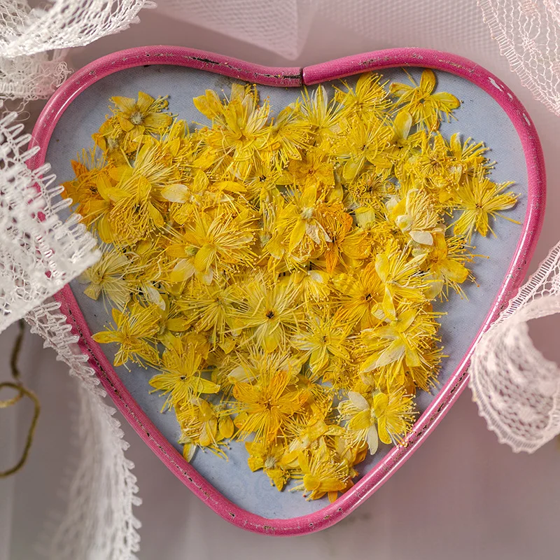 12PCS Real Dried Flowers Symplocos Paniculata for DIY Bookmark Phone Case Real Natural Pressed Flowers Petal Resin Fillings