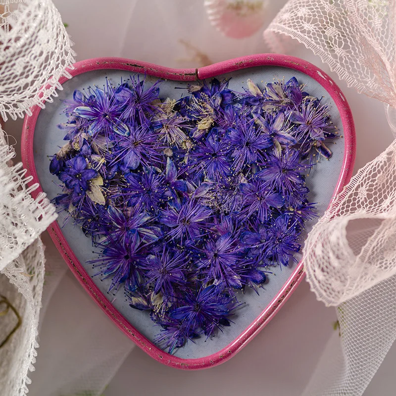 12PCS Real Dried Flowers Symplocos Paniculata for DIY Bookmark Phone Case Real Natural Pressed Flowers Petal Resin Fillings