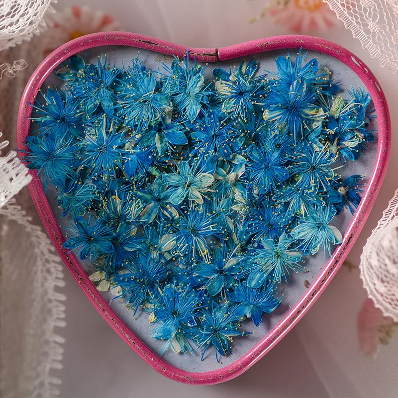 12PCS Real Dried Flowers Symplocos Paniculata for DIY Bookmark Phone Case Real Natural Pressed Flowers Petal Resin Fillings