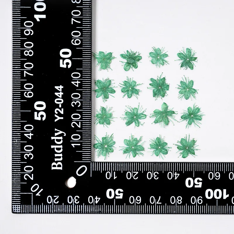 12PCS Real Dried Flowers Symplocos Paniculata for DIY Bookmark Phone Case Real Natural Pressed Flowers Petal Resin Fillings