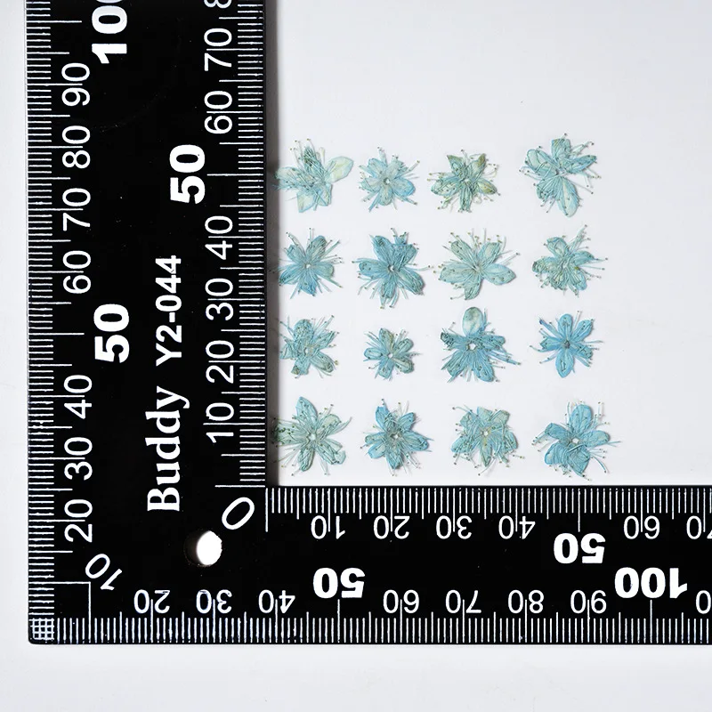 12PCS Real Dried Flowers Symplocos Paniculata for DIY Bookmark Phone Case Real Natural Pressed Flowers Petal Resin Fillings