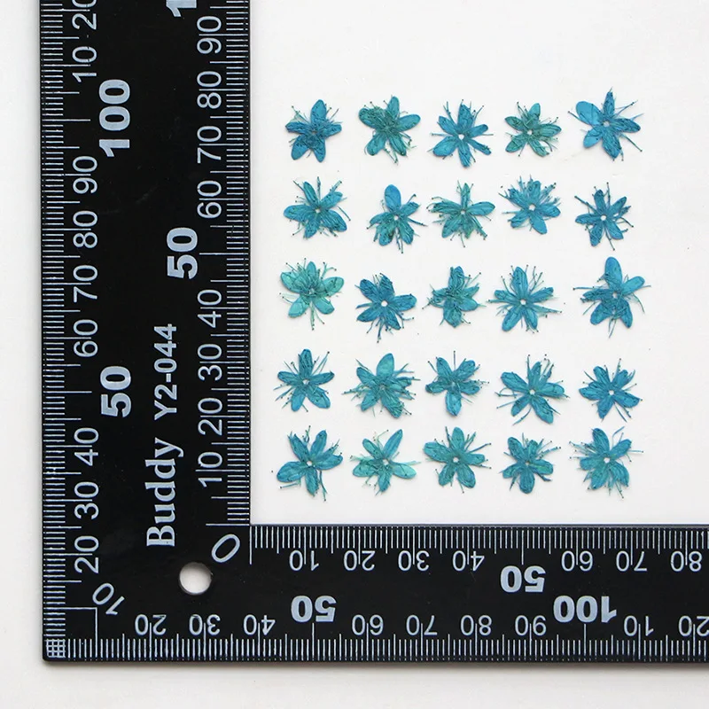 12PCS Real Dried Flowers Symplocos Paniculata for DIY Bookmark Phone Case Real Natural Pressed Flowers Petal Resin Fillings