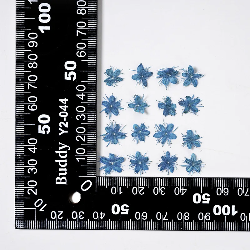 12PCS Real Dried Flowers Symplocos Paniculata for DIY Bookmark Phone Case Real Natural Pressed Flowers Petal Resin Fillings