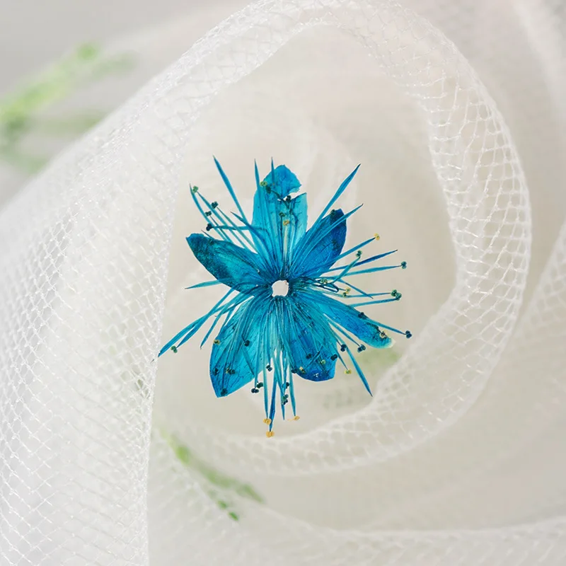 12PCS Real Dried Flowers Symplocos Paniculata for DIY Bookmark Phone Case Real Natural Pressed Flowers Petal Resin Fillings