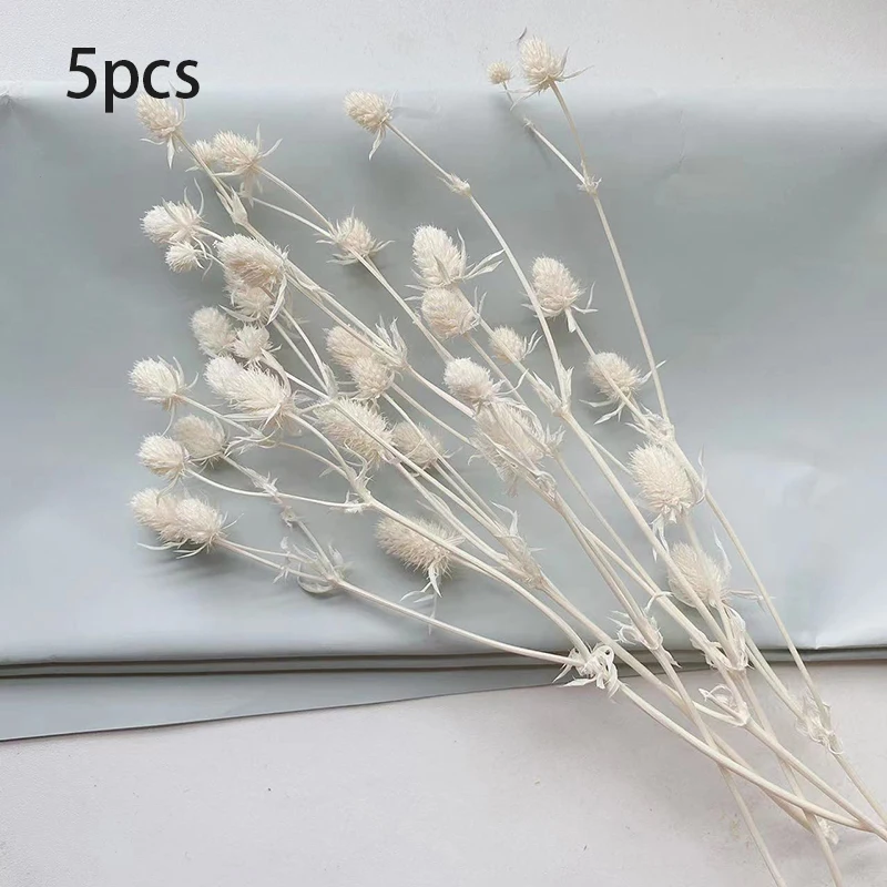 Lover Fruit Natural Dried Flower Bouquet DIY Dried Flower for Resin Mold Making Real Flower For Home Wedding Party Decoration Lover Fruit Natural Dried Flower Bouquet DIY Dried Flower for Resin Mold Making Real Flower For Home Wedding Party Decoration