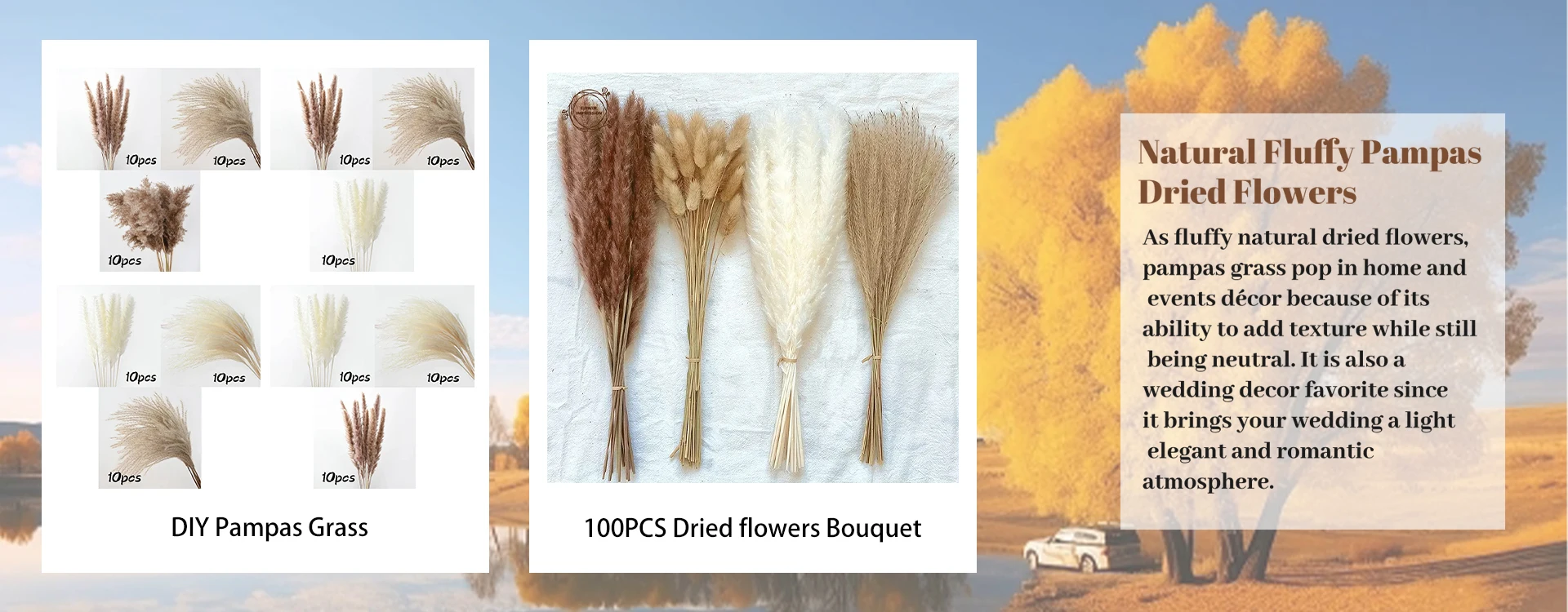 60pcs Mix Dried Bunny Tail Grass Natural Preserved Dry Flowers Wedding Table Decor Bouquet Home Decoration Flower Arrangement 60pcs Mix Dried Bunny Tail Grass Natural Preserved Dry Flowers Wedding Table Decor Bouquet Home Decoration Flower Arrangement