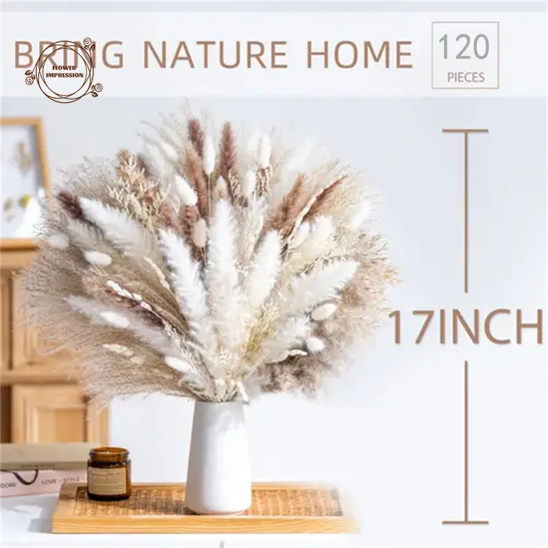Natural Pampas Dried Flowers Bunny Tails Grass Craspedia Boho Bouquet Wedding Decor Party Supplies Vase Garden Decorations