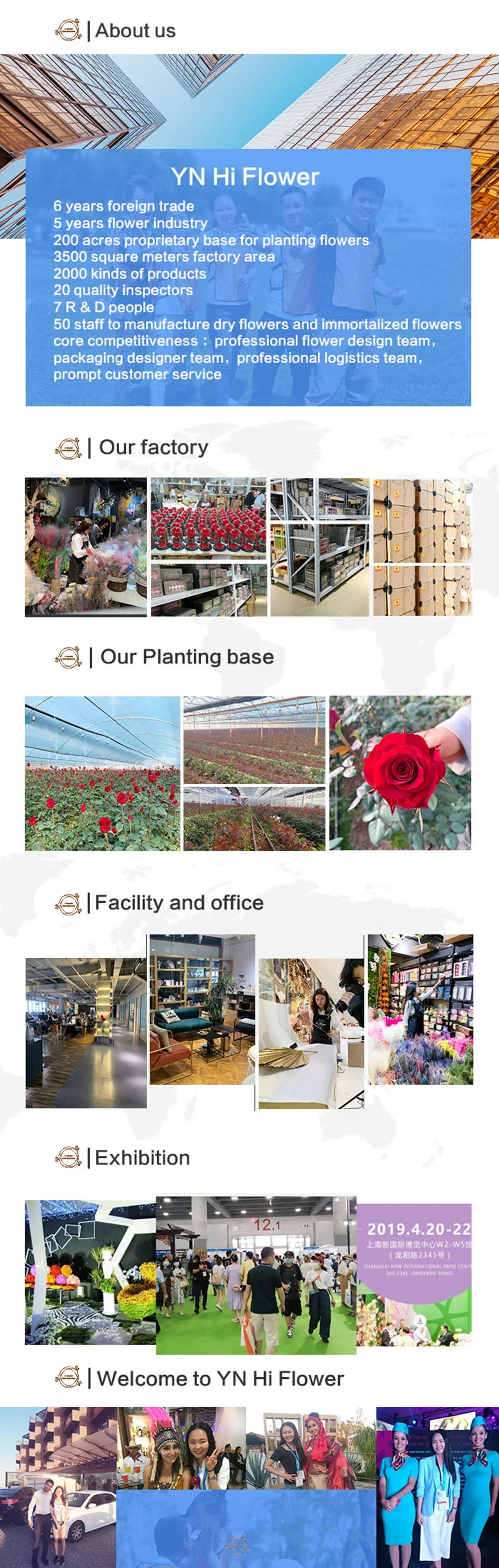 Natural Pampas Dried Flowers Bunny Tails Grass Craspedia Boho Bouquet Wedding Decor Party Supplies Vase Garden Decorations