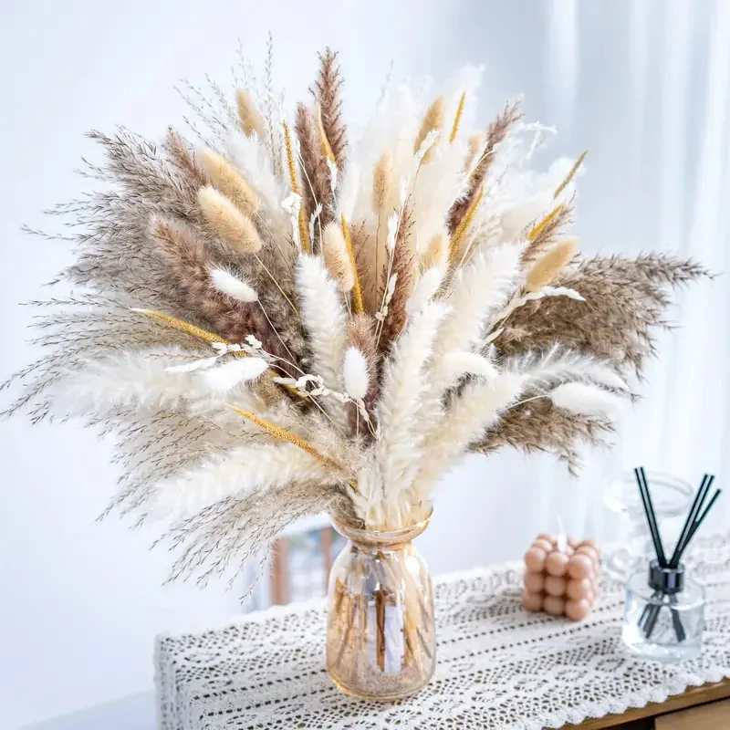 Natural Pampas Dried Flowers Bunny Tails Grass Craspedia Boho Bouquet Wedding Decor Party Supplies Vase Garden Decorations
