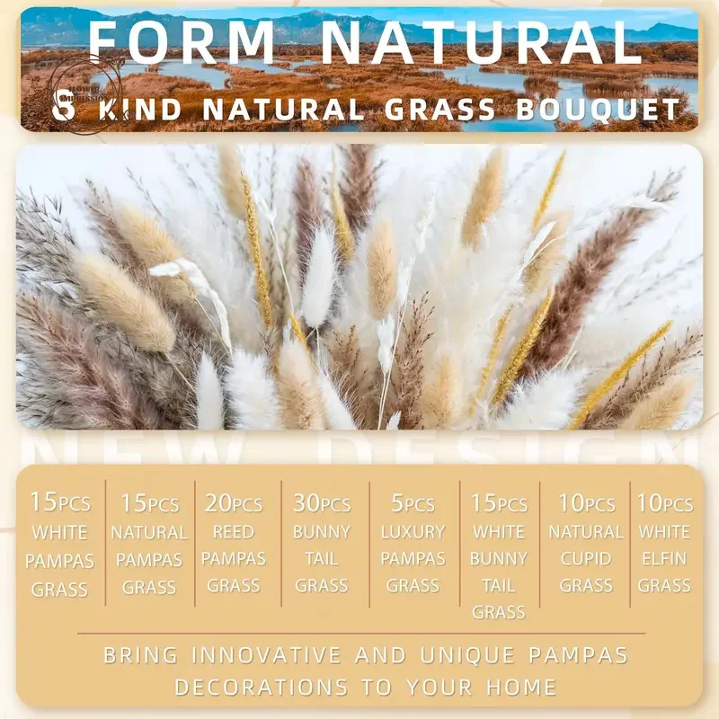 Natural Pampas Dried Flowers Bunny Tails Grass Craspedia Boho Bouquet Wedding Decor Party Supplies Vase Garden Decorations