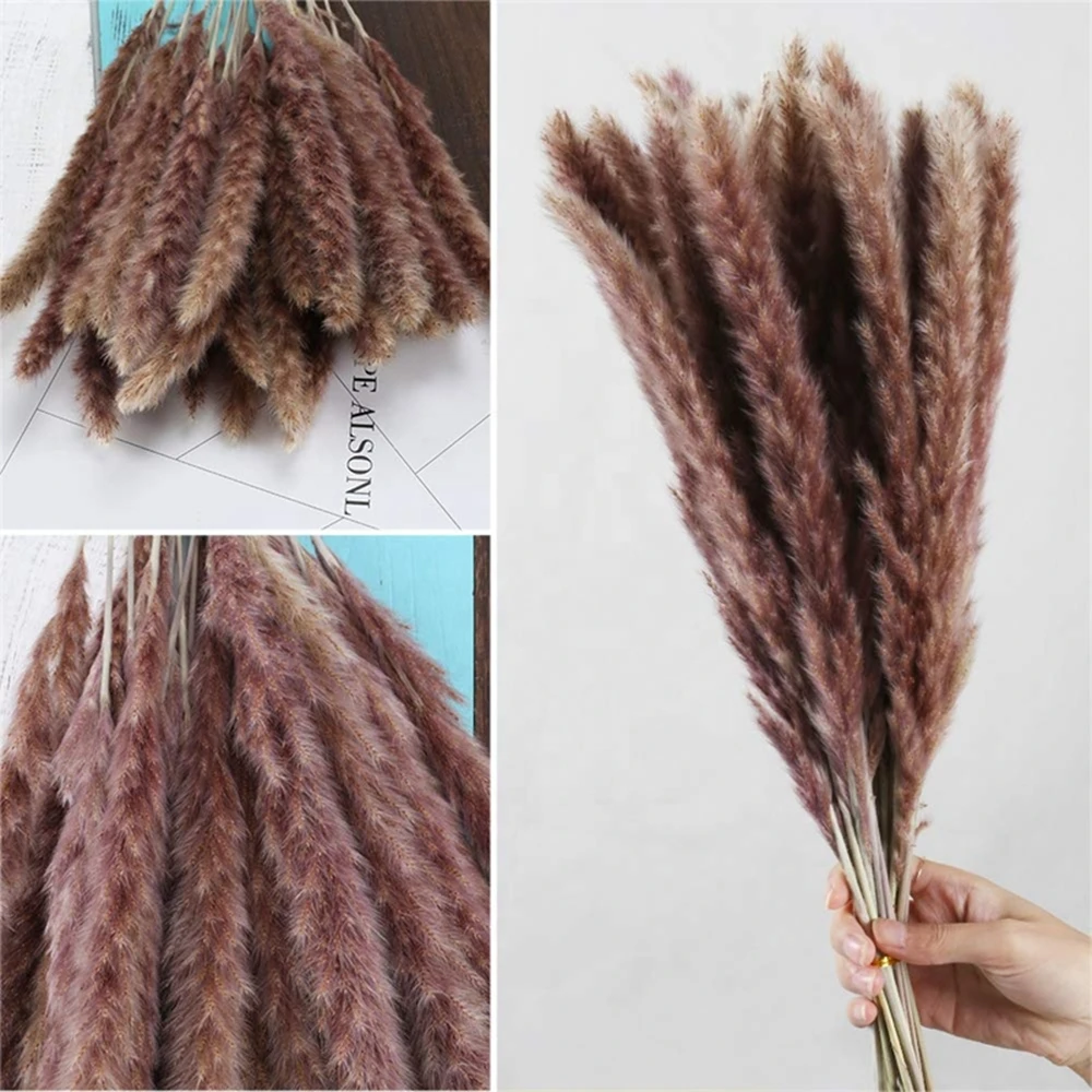 100Pcs Fluffy Pampas Dried Flowers Bouquet Home Decor Natural Bunny Rabbit Tail Grass Artifical Flower Wedding Party Decoration 100Pcs Fluffy Pampas Dried Flowers Bouquet Home Decor Natural Bunny Rabbit Tail Grass Artifical Flower Wedding Party Decoration