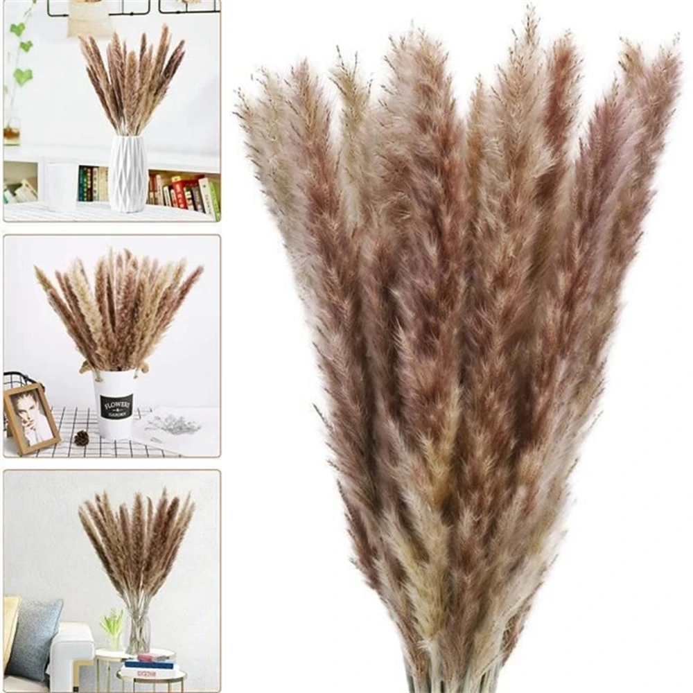 100Pcs Fluffy Pampas Dried Flowers Bouquet Home Decor Natural Bunny Rabbit Tail Grass Artifical Flower Wedding Party Decoration 100Pcs Fluffy Pampas Dried Flowers Bouquet Home Decor Natural Bunny Rabbit Tail Grass Artifical Flower Wedding Party Decoration