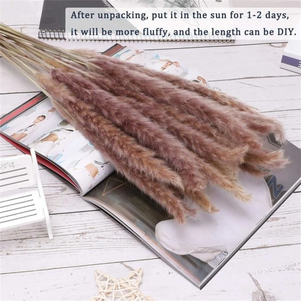 100Pcs Fluffy Pampas Dried Flowers Bouquet Home Decor Natural Bunny Rabbit Tail Grass Artifical Flower Wedding Party Decoration 100Pcs Fluffy Pampas Dried Flowers Bouquet Home Decor Natural Bunny Rabbit Tail Grass Artifical Flower Wedding Party Decoration