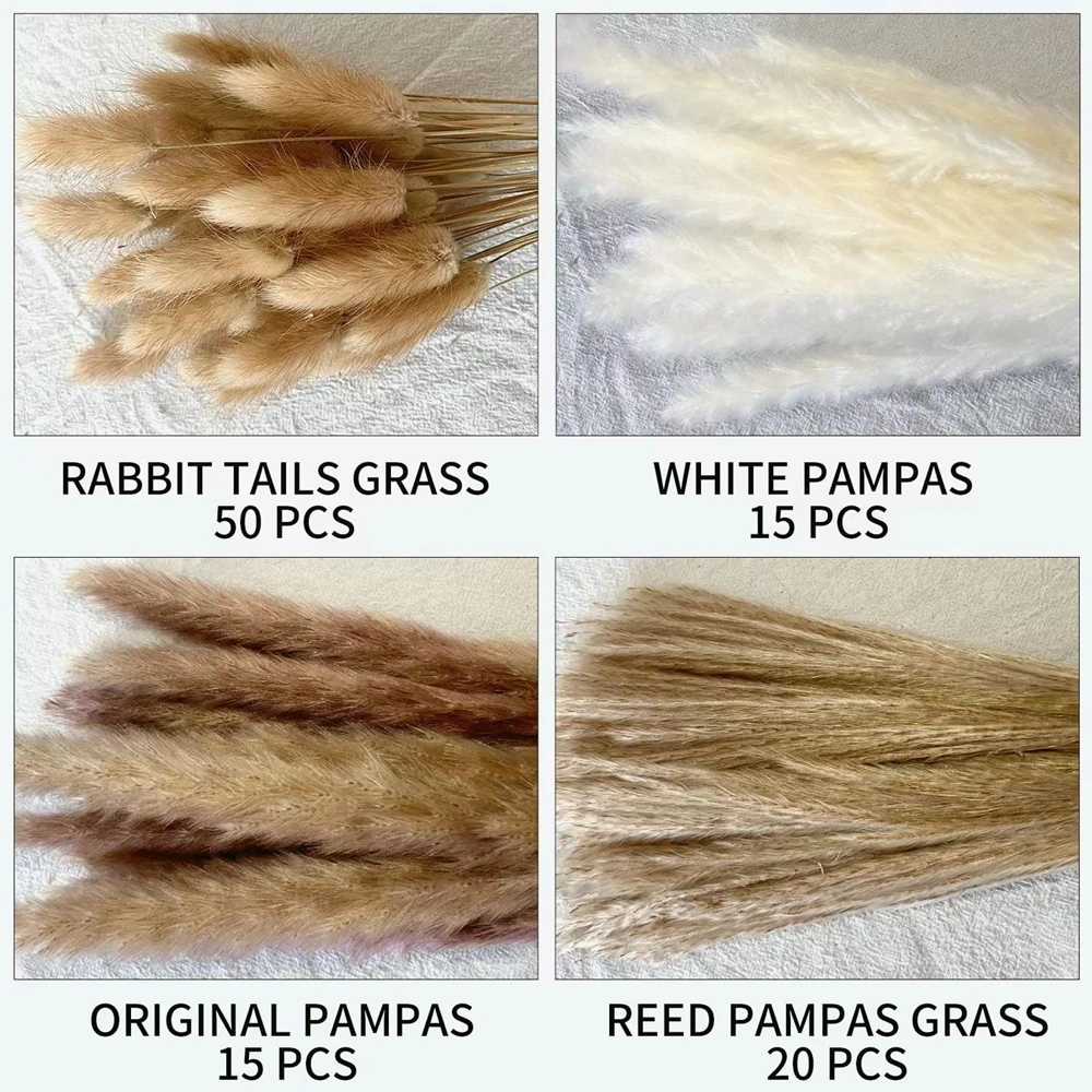 100Pcs Fluffy Pampas Dried Flowers Bouquet Home Decor Natural Bunny Rabbit Tail Grass Artifical Flower Wedding Party Decoration 100Pcs Fluffy Pampas Dried Flowers Bouquet Home Decor Natural Bunny Rabbit Tail Grass Artifical Flower Wedding Party Decoration
