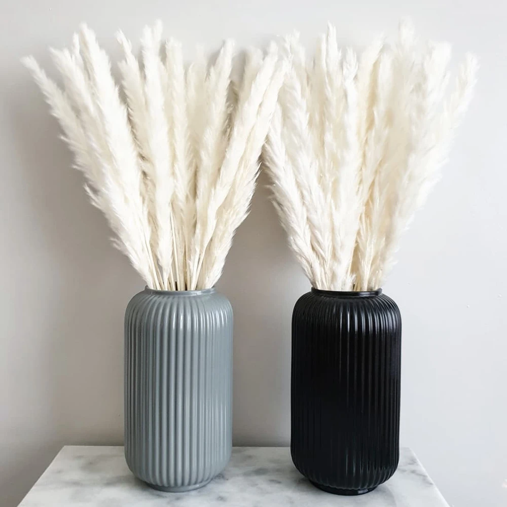 100Pcs Fluffy Pampas Dried Flowers Bouquet Home Decor Natural Bunny Rabbit Tail Grass Artifical Flower Wedding Party Decoration 100Pcs Fluffy Pampas Dried Flowers Bouquet Home Decor Natural Bunny Rabbit Tail Grass Artifical Flower Wedding Party Decoration