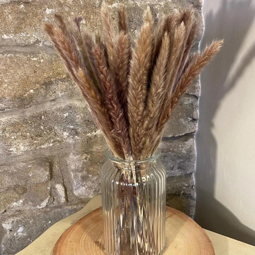 100Pcs Fluffy Pampas Dried Flowers Bouquet Home Decor Natural Bunny Rabbit Tail Grass Artifical Flower Wedding Party Decoration 100Pcs Fluffy Pampas Dried Flowers Bouquet Home Decor Natural Bunny Rabbit Tail Grass Artifical Flower Wedding Party Decoration