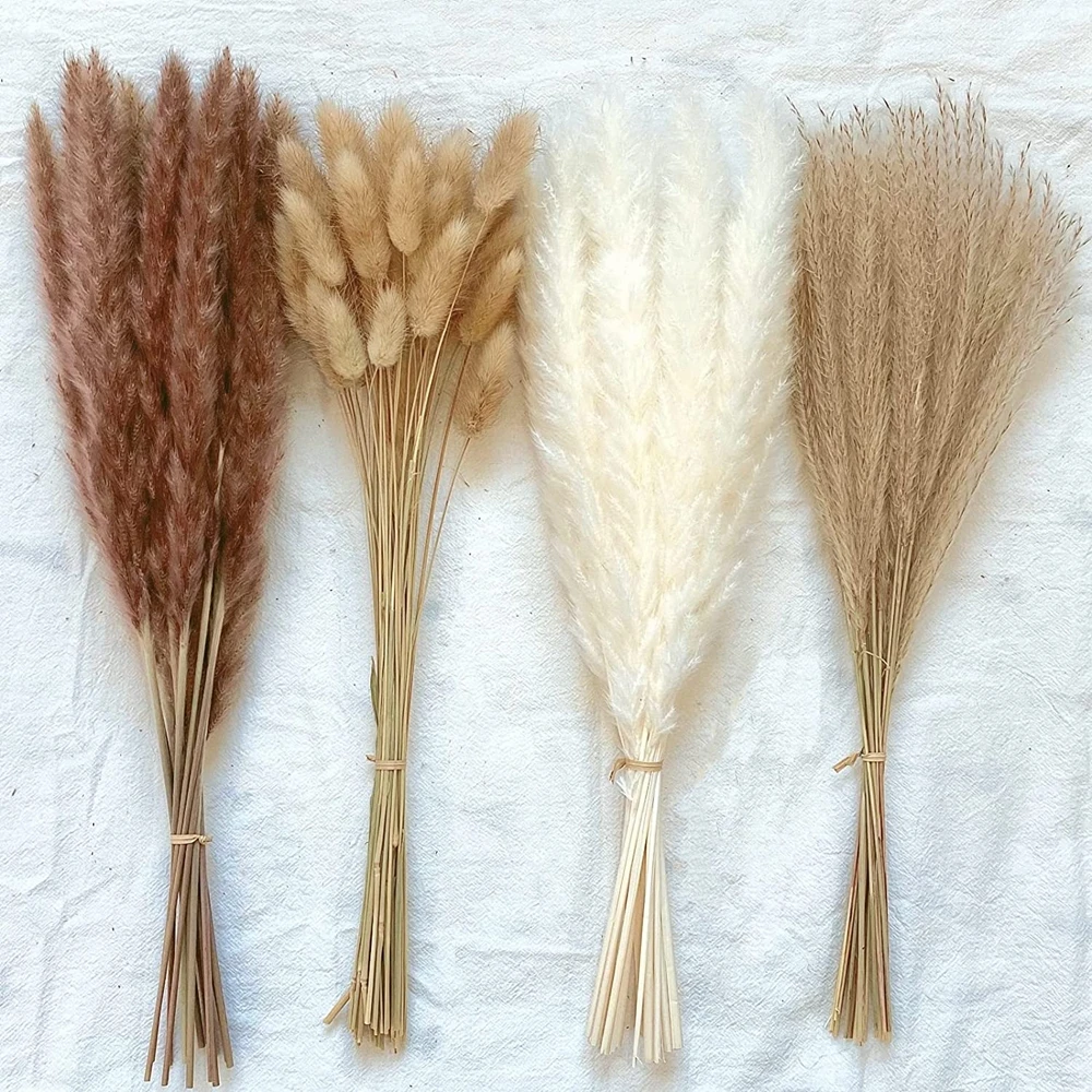 100Pcs Fluffy Pampas Dried Flowers Bouquet Home Decor Natural Bunny Rabbit Tail Grass Artifical Flower Wedding Party Decoration 100Pcs Fluffy Pampas Dried Flowers Bouquet Home Decor Natural Bunny Rabbit Tail Grass Artifical Flower Wedding Party Decoration