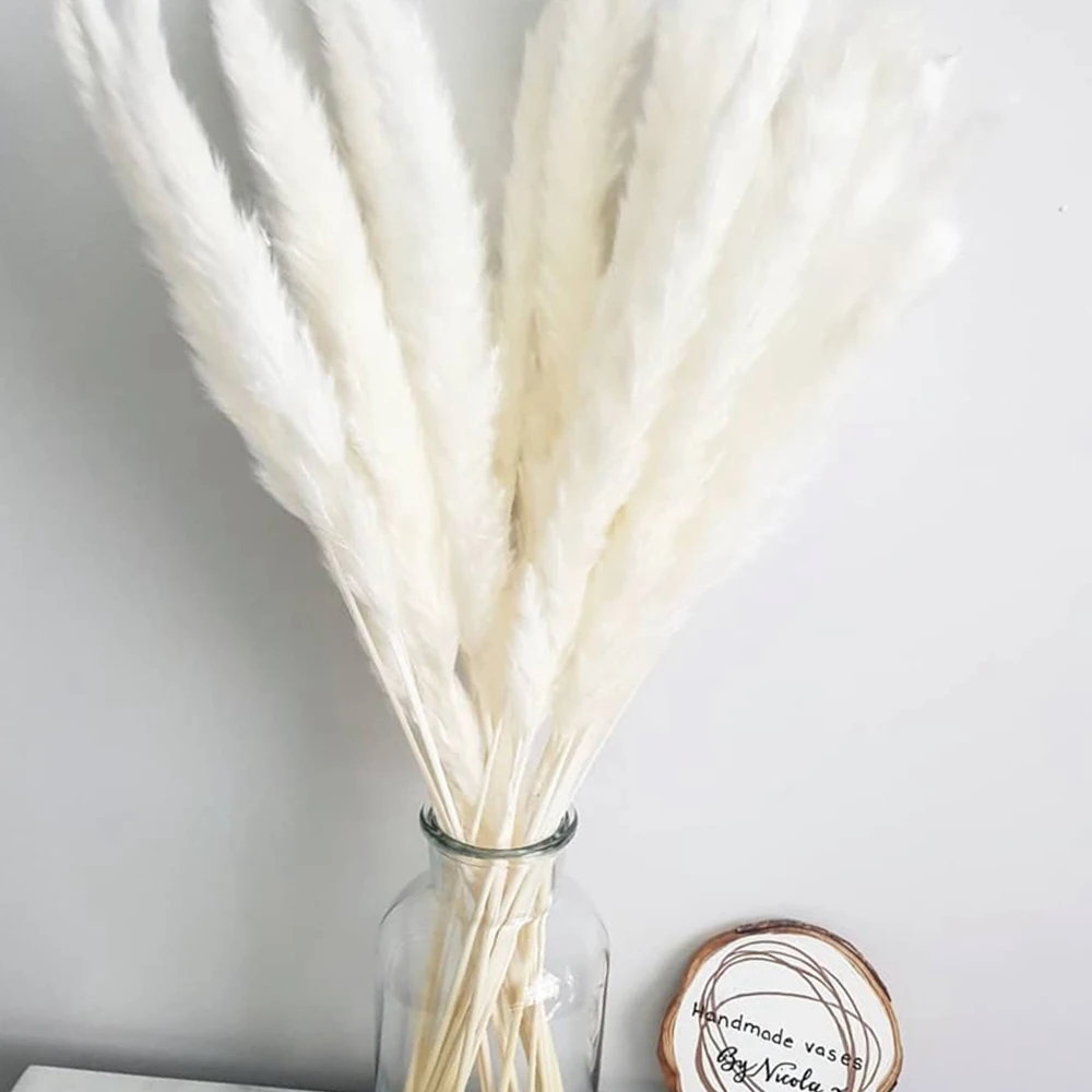 100Pcs Fluffy Pampas Dried Flowers Bouquet Home Decor Natural Bunny Rabbit Tail Grass Artifical Flower Wedding Party Decoration 100Pcs Fluffy Pampas Dried Flowers Bouquet Home Decor Natural Bunny Rabbit Tail Grass Artifical Flower Wedding Party Decoration