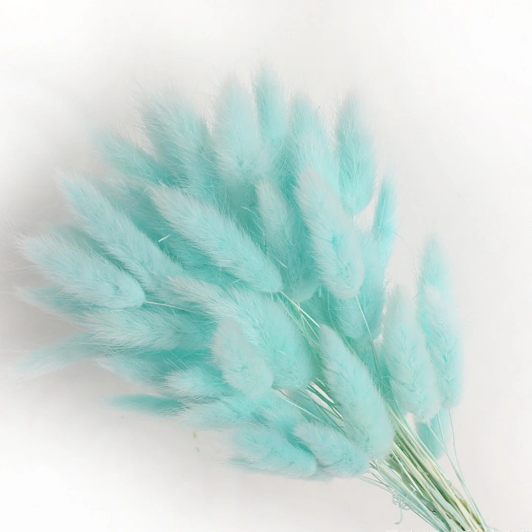 60Pcs Fluffy Bunny Rabbit Tails Grass Bouquet Boho Home Vase Decor Natural Pampas Dried Flower Lagurus Ovatus Wedding Decoration