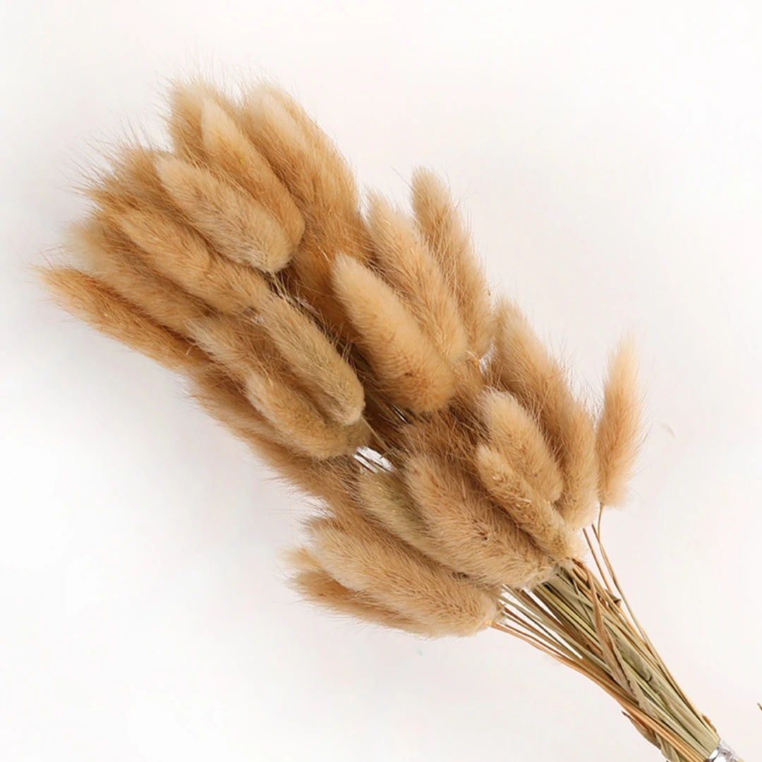 60Pcs Fluffy Bunny Rabbit Tails Grass Bouquet Boho Home Vase Decor Natural Pampas Dried Flower Lagurus Ovatus Wedding Decoration