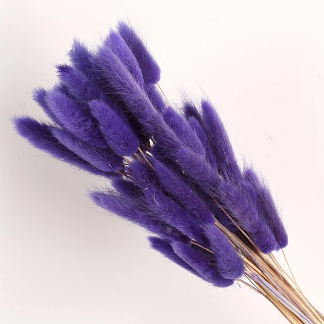 60Pcs Fluffy Bunny Rabbit Tails Grass Bouquet Boho Home Vase Decor Natural Pampas Dried Flower Lagurus Ovatus Wedding Decoration