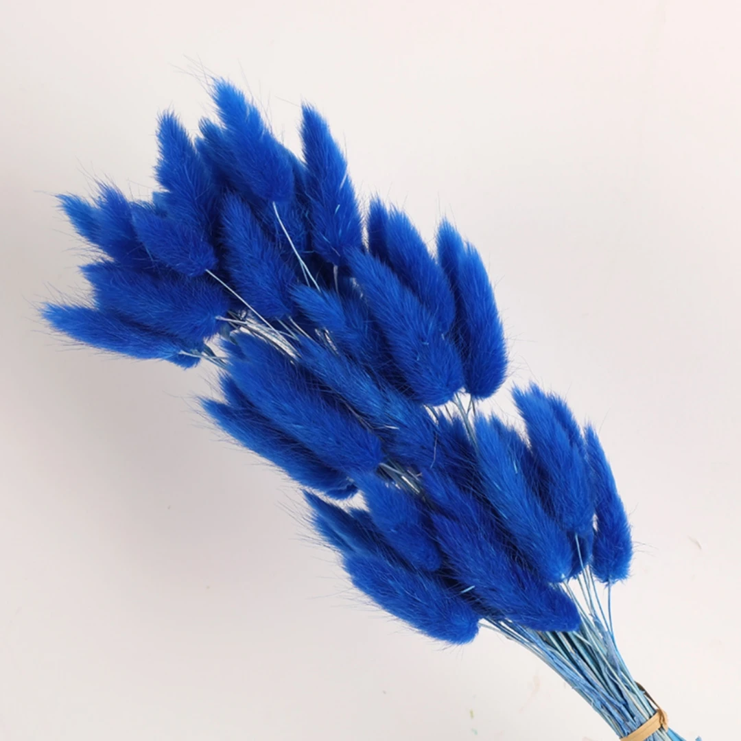 60Pcs Fluffy Bunny Rabbit Tails Grass Bouquet Boho Home Vase Decor Natural Pampas Dried Flower Lagurus Ovatus Wedding Decoration