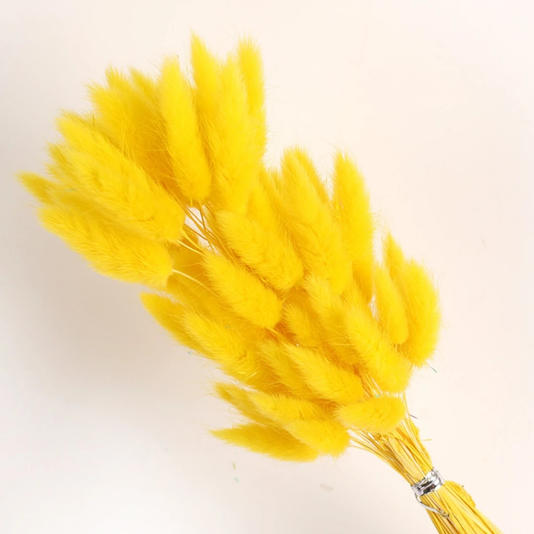 60Pcs Fluffy Bunny Rabbit Tails Grass Bouquet Boho Home Vase Decor Natural Pampas Dried Flower Lagurus Ovatus Wedding Decoration