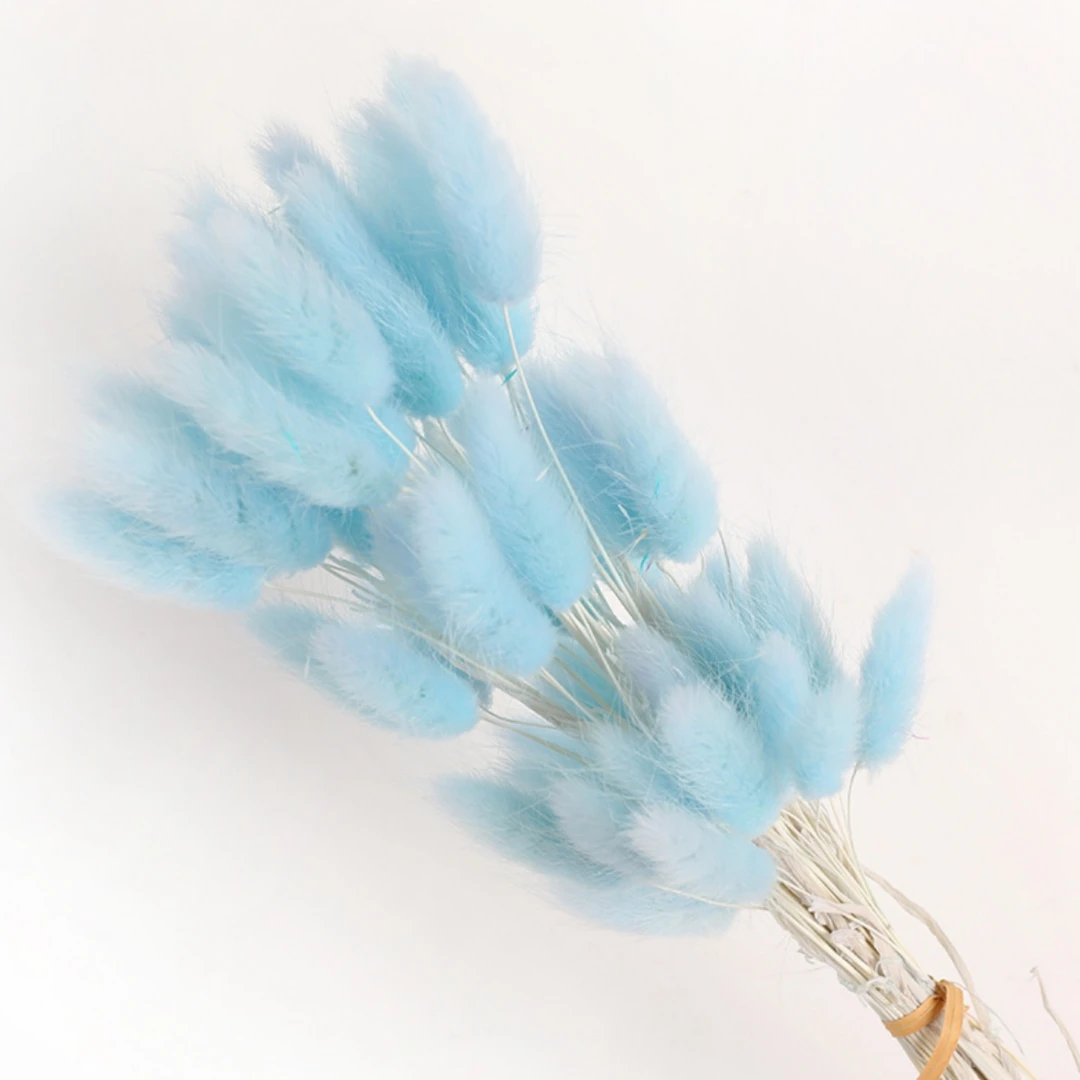 60Pcs Fluffy Bunny Rabbit Tails Grass Bouquet Boho Home Vase Decor Natural Pampas Dried Flower Lagurus Ovatus Wedding Decoration